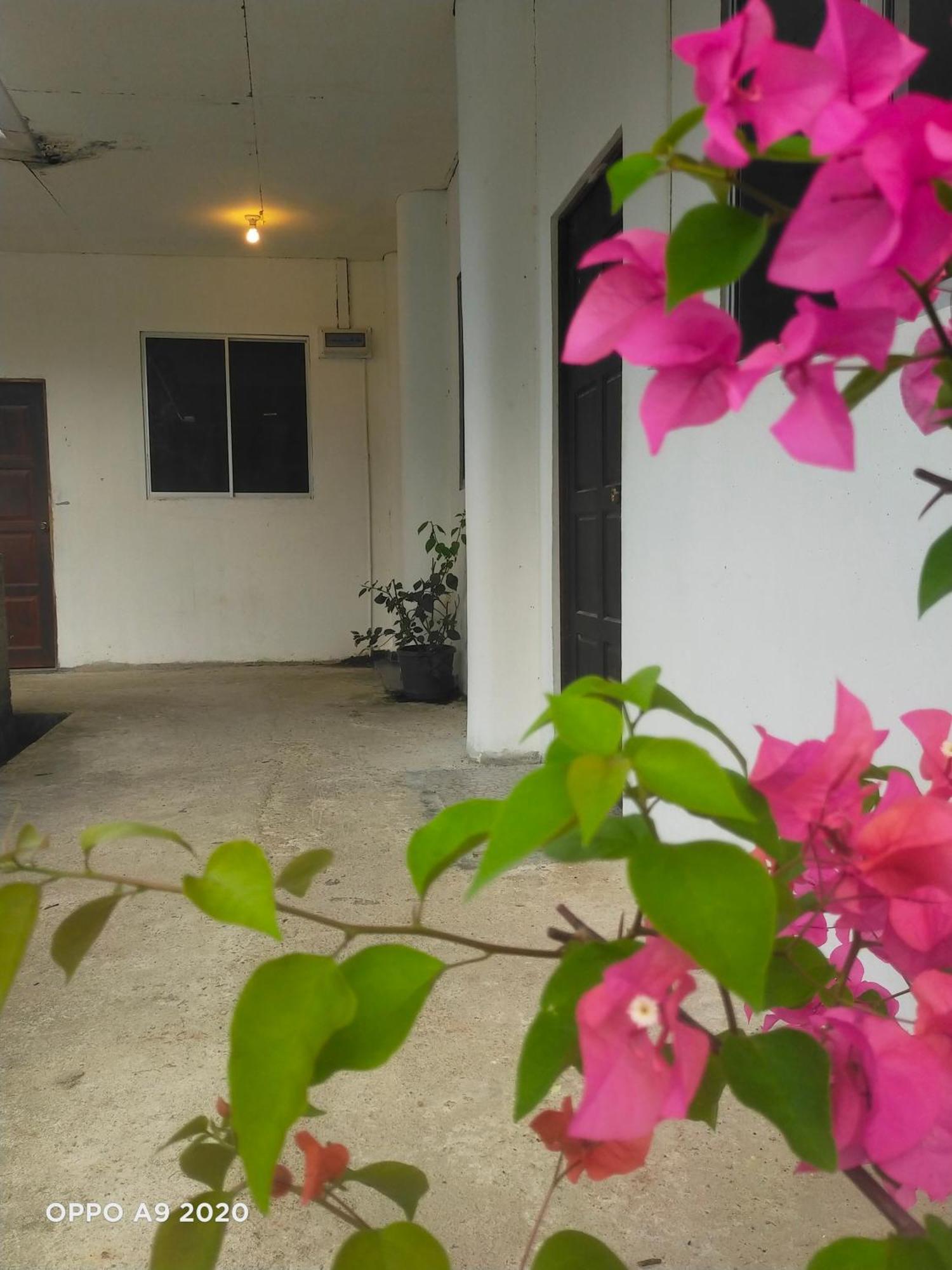 Sukau Tomanggong View Bed & Breakfast מראה חיצוני תמונה